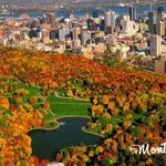 Mount Royal