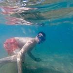 Snorkeling