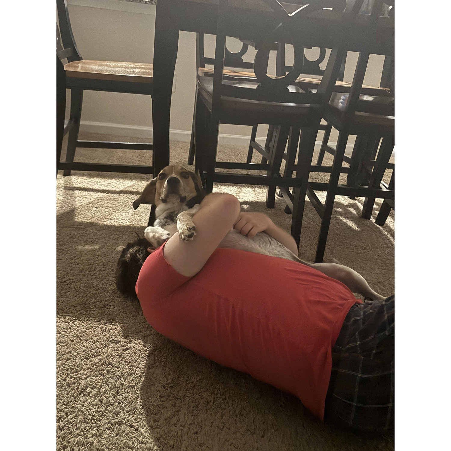 Don't worry the dog love this!