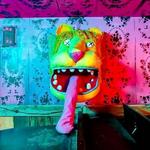 Meow Wolf Santa Fe
