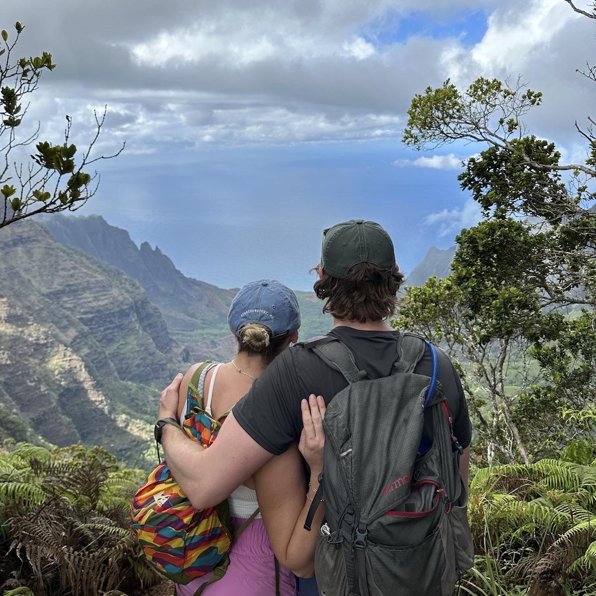 Na Pali Coast (from the top)