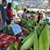 Clermont Main Street's Farmers Market