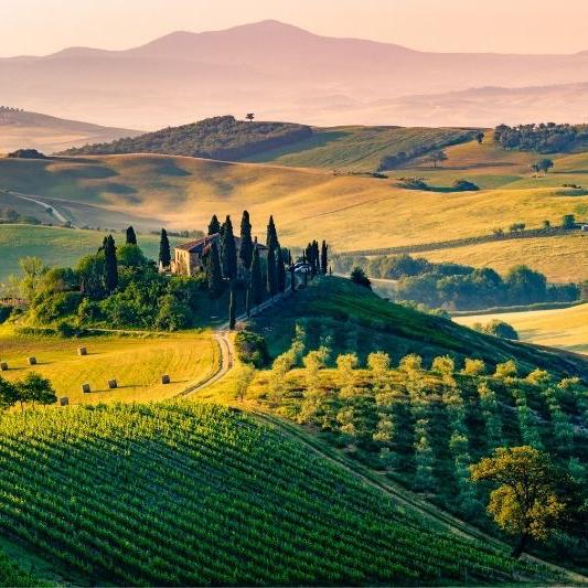 Tuscan Wine Tour