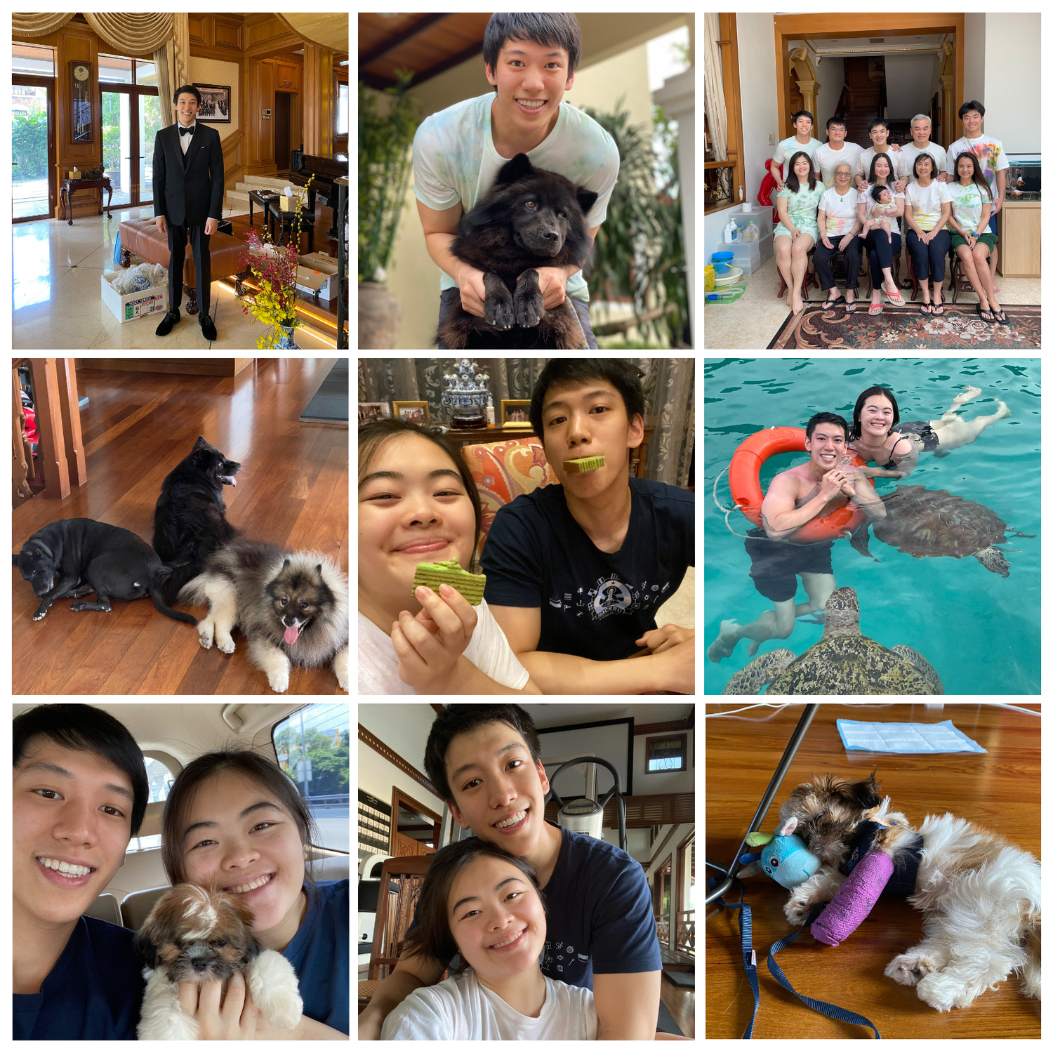Post quarantine #2 was filled doggy cuddles, evening walks, birthdays and photoshoot, life at Taman Desa was as bursting with activity as ever! Especially with the arrival of Nala!
