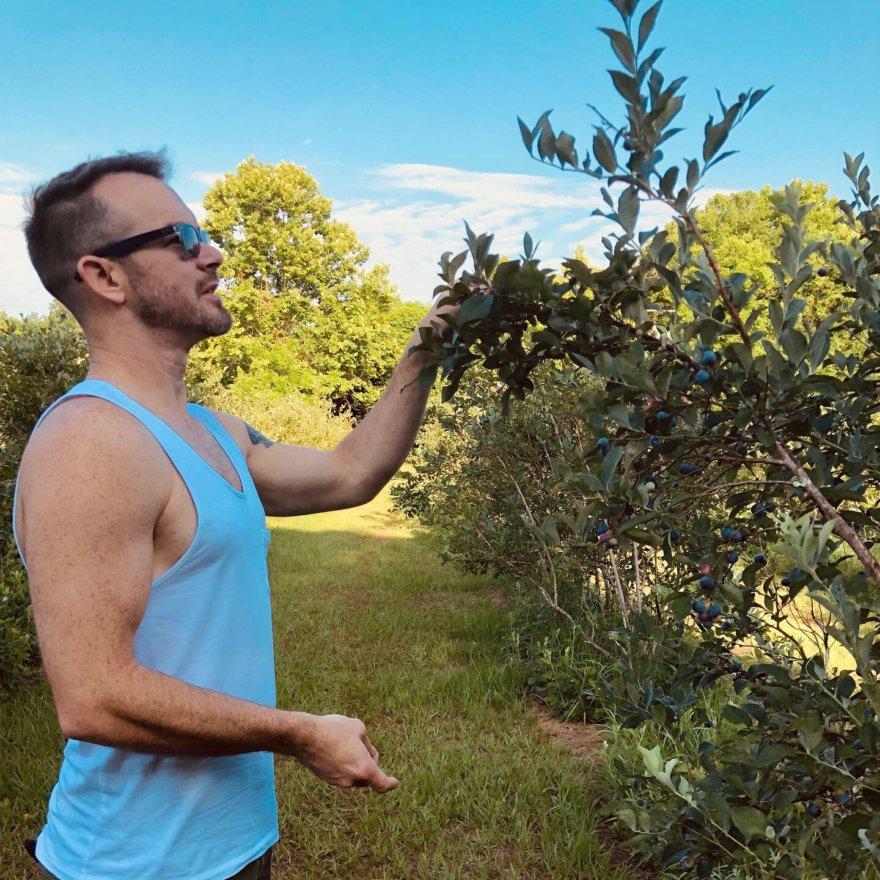 Blueberry picking date 