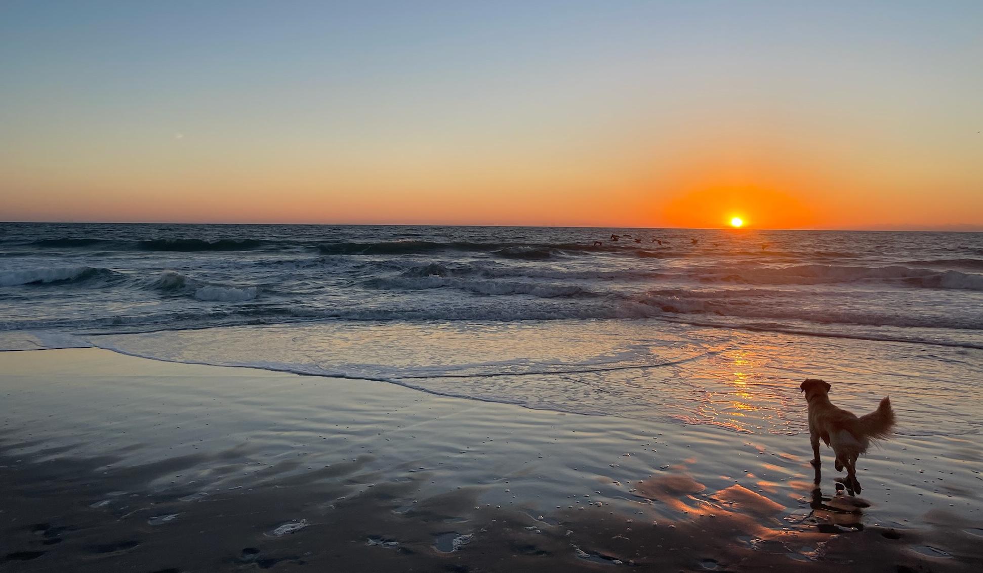 The Wedding Website of Alyssa Good and Alex Sieber