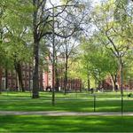 Harvard University