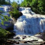 Dupont State Forest