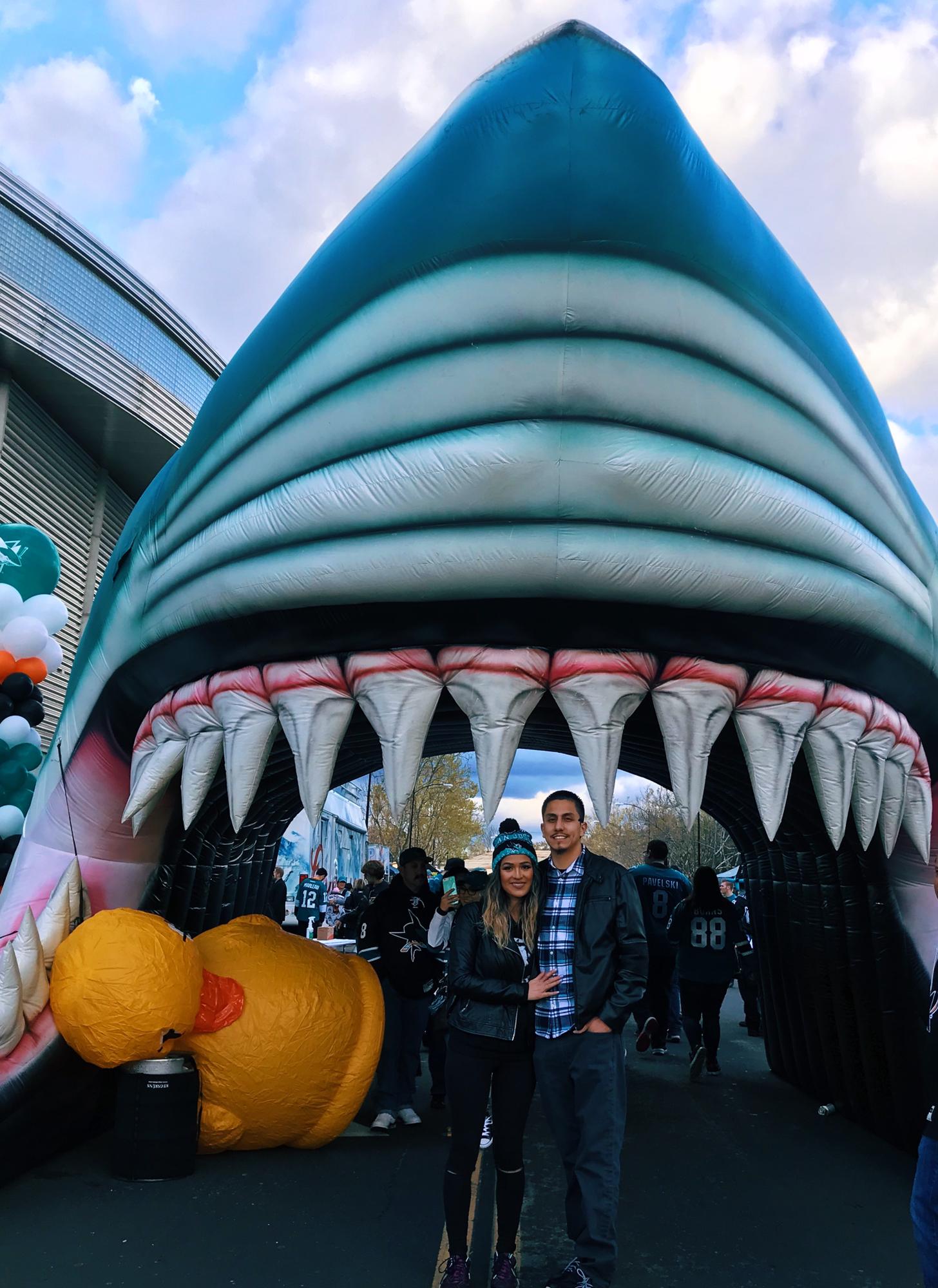 Go Sharks!
