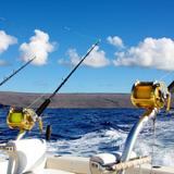 Deep Sea Fishing