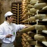 The Cheese Fort