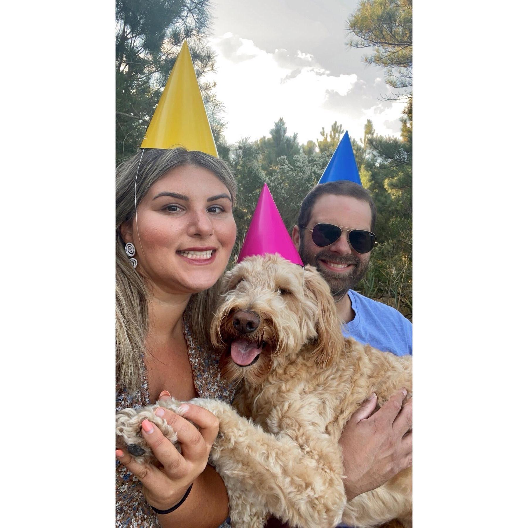 How we pawty - Bella's 8th birthday