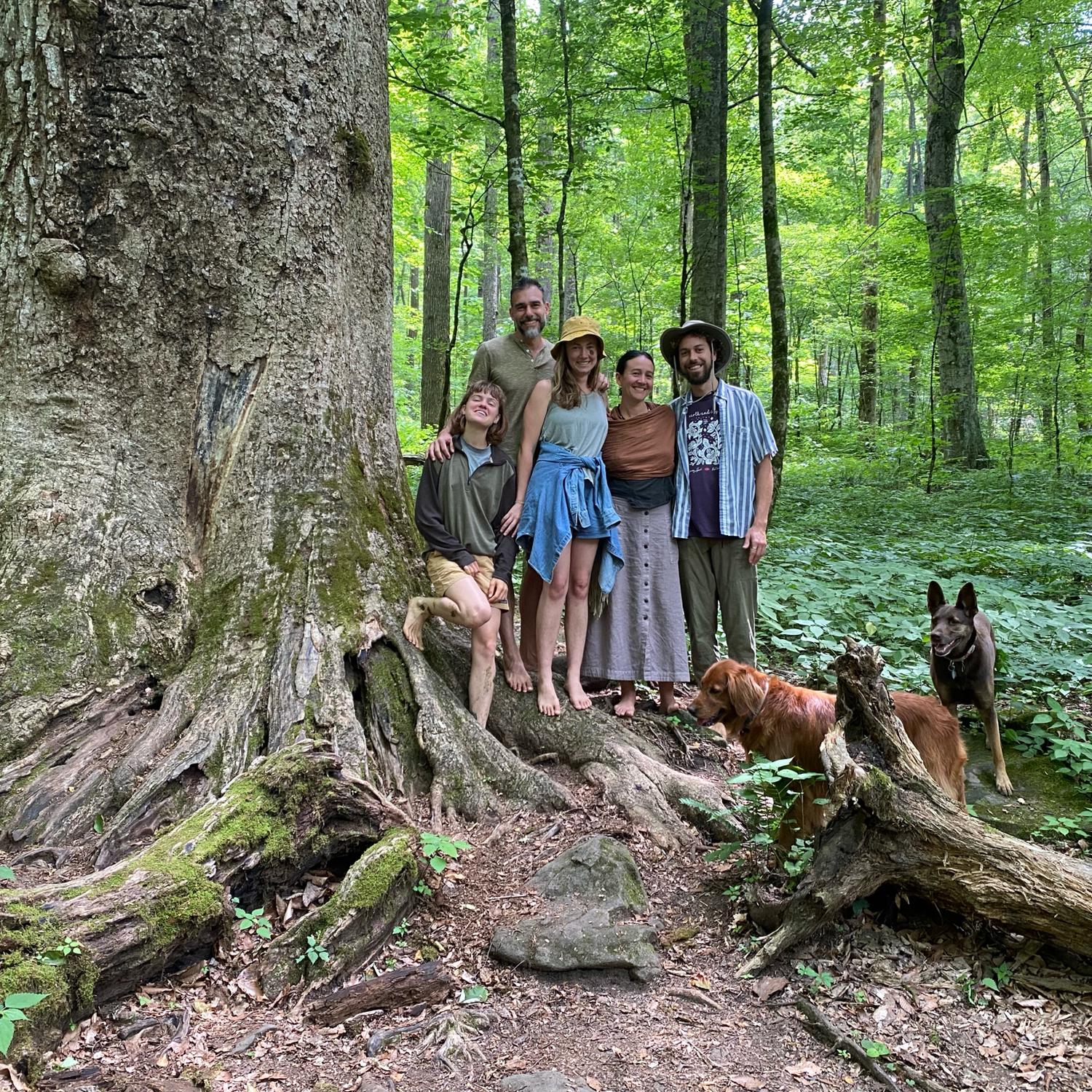 Joyce Kilmer Memorial Forest with dear friends Thomas, Paeonia and Simon