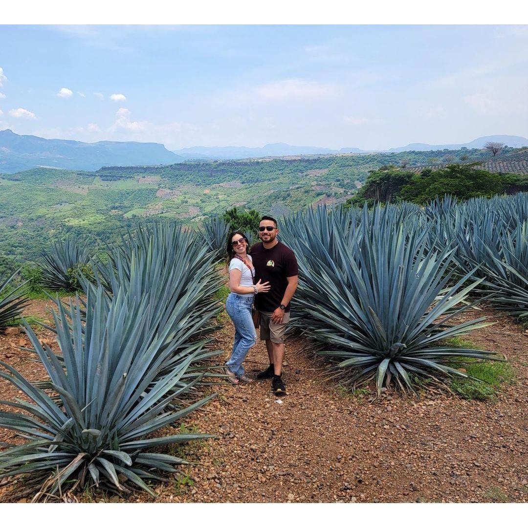 Tequila anyone? From our visit to Tequila, Jalisco