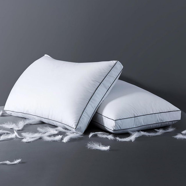 ELNIDO QUEEN Goose Feather Down Pillows Queen Size Set of 2，Luxury Hotel Collection Bed Pillows for Sleeping， Down Surrounded Pillows 2 Pack, Soft ＆ Fluffy for Side, Back Sleepers 20x30 in