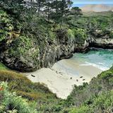 Point Lobos State Natural Reserve