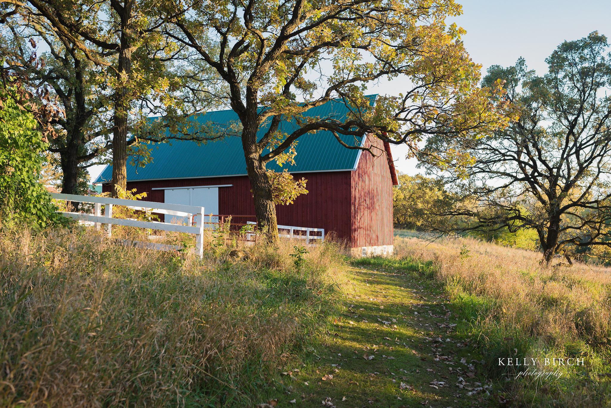 The Wedding Website of Erin Abraham and Anthony Harker