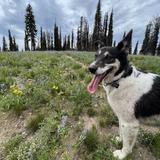 Bear Basin biking/hiking trails