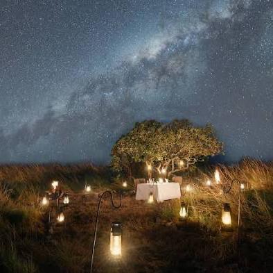 Starry Night Private Safari Dinner