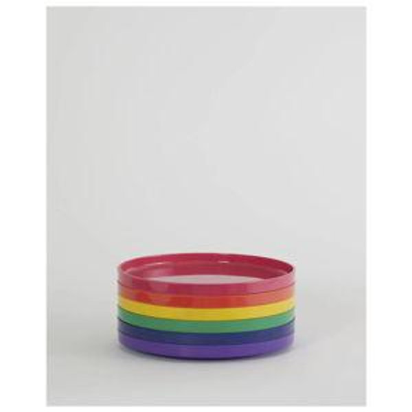 Max Dinnerware rainbow