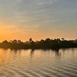 Essequibo River Tour