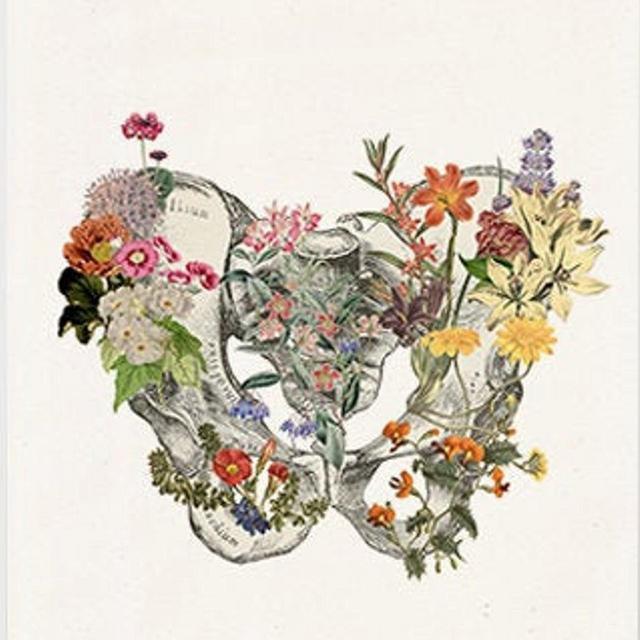 Gift for her - Pelvis Art - Flower Anatomy...