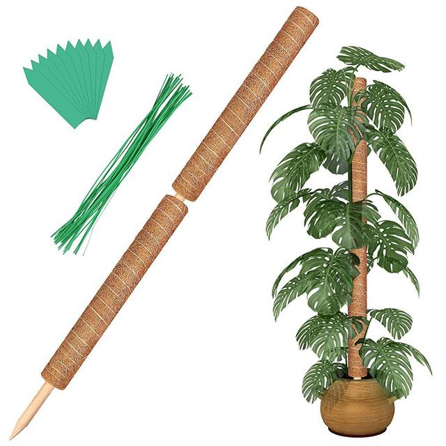 Augshy Total Length 43 Inches Moss Poles - 2PCS 24 Inch Plants Support Stakes Pole for Indoor Plants Coir Totem Pole for Creeper Monstera Plant Climbing