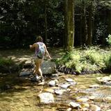 Linville Trails