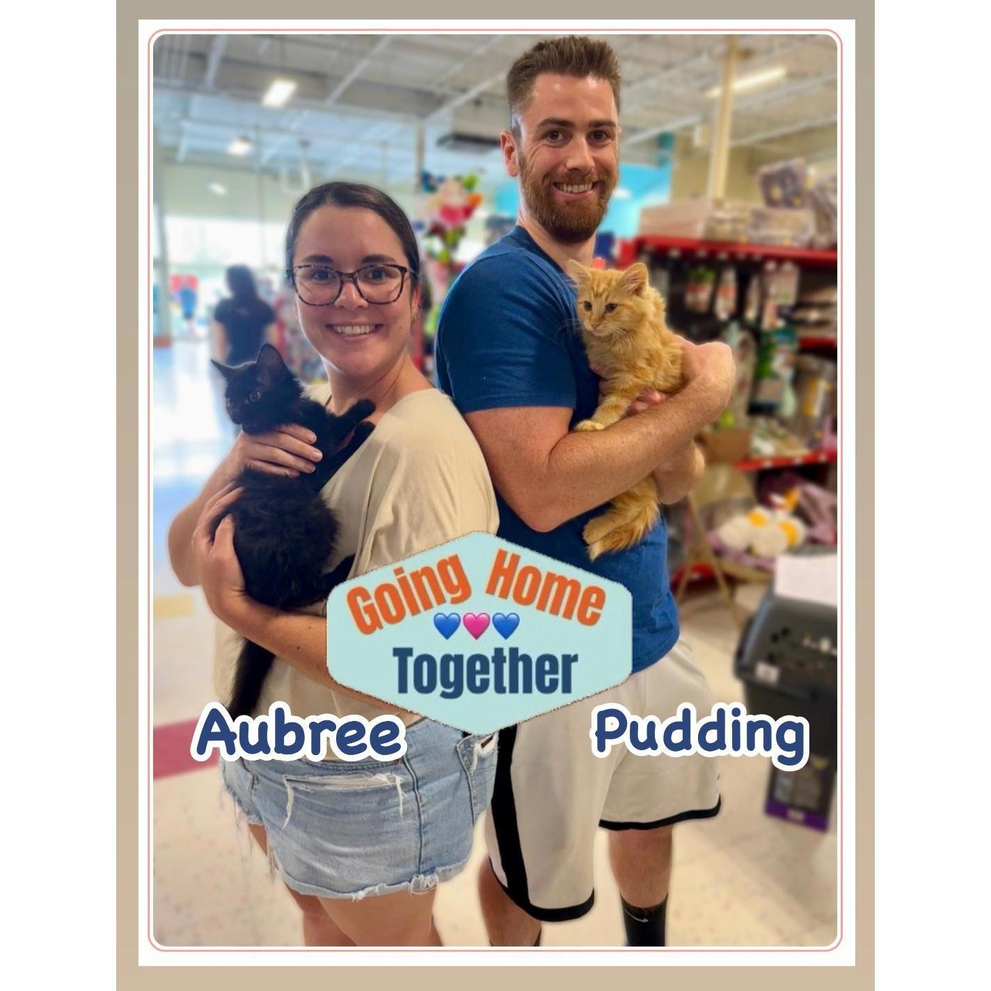 Adopting the best little guys we could've asked for!