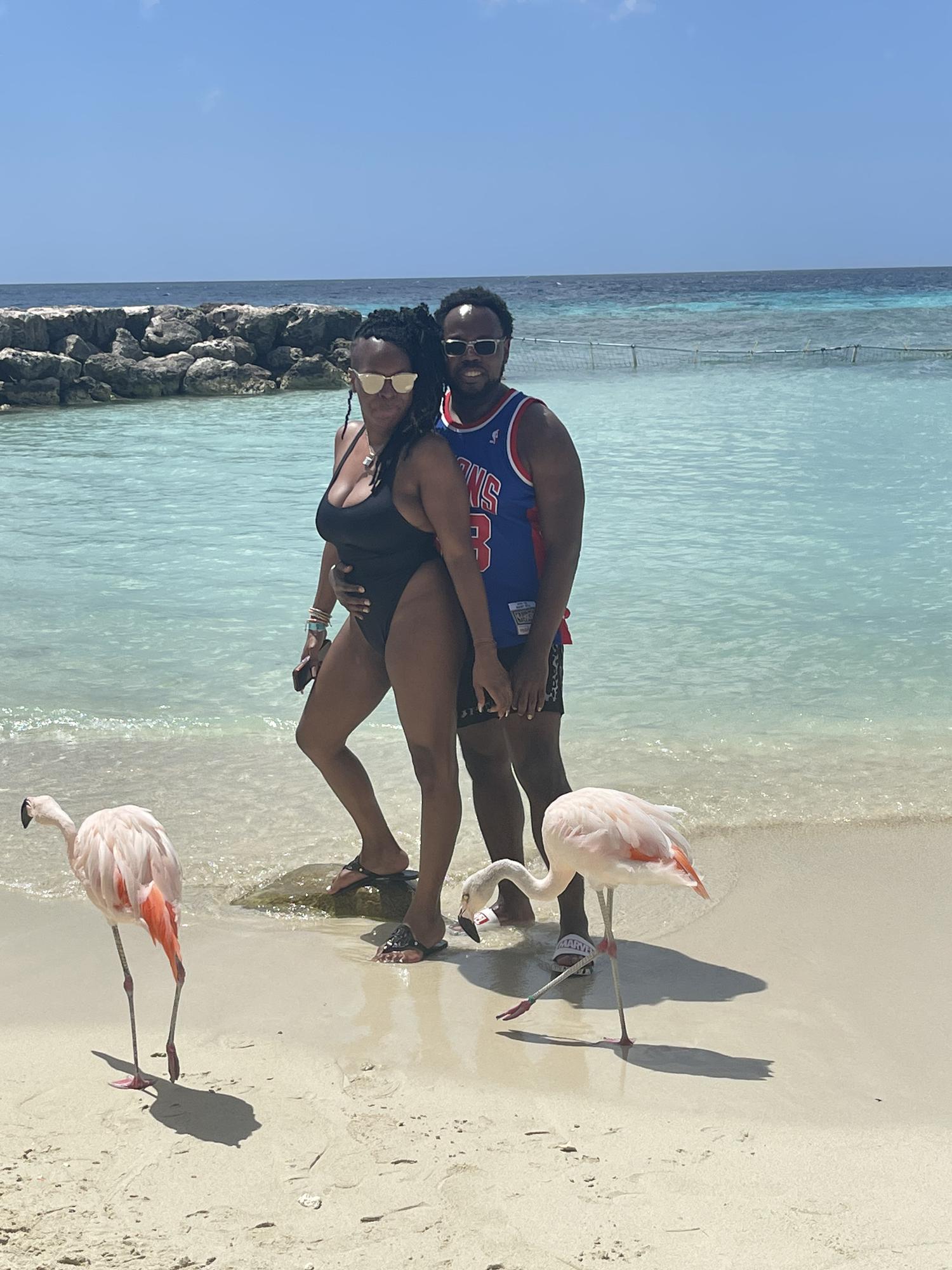Aruba with the Flamingos!
