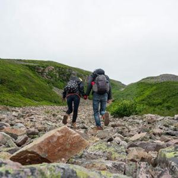 Honeymoon Denali National Park Experience