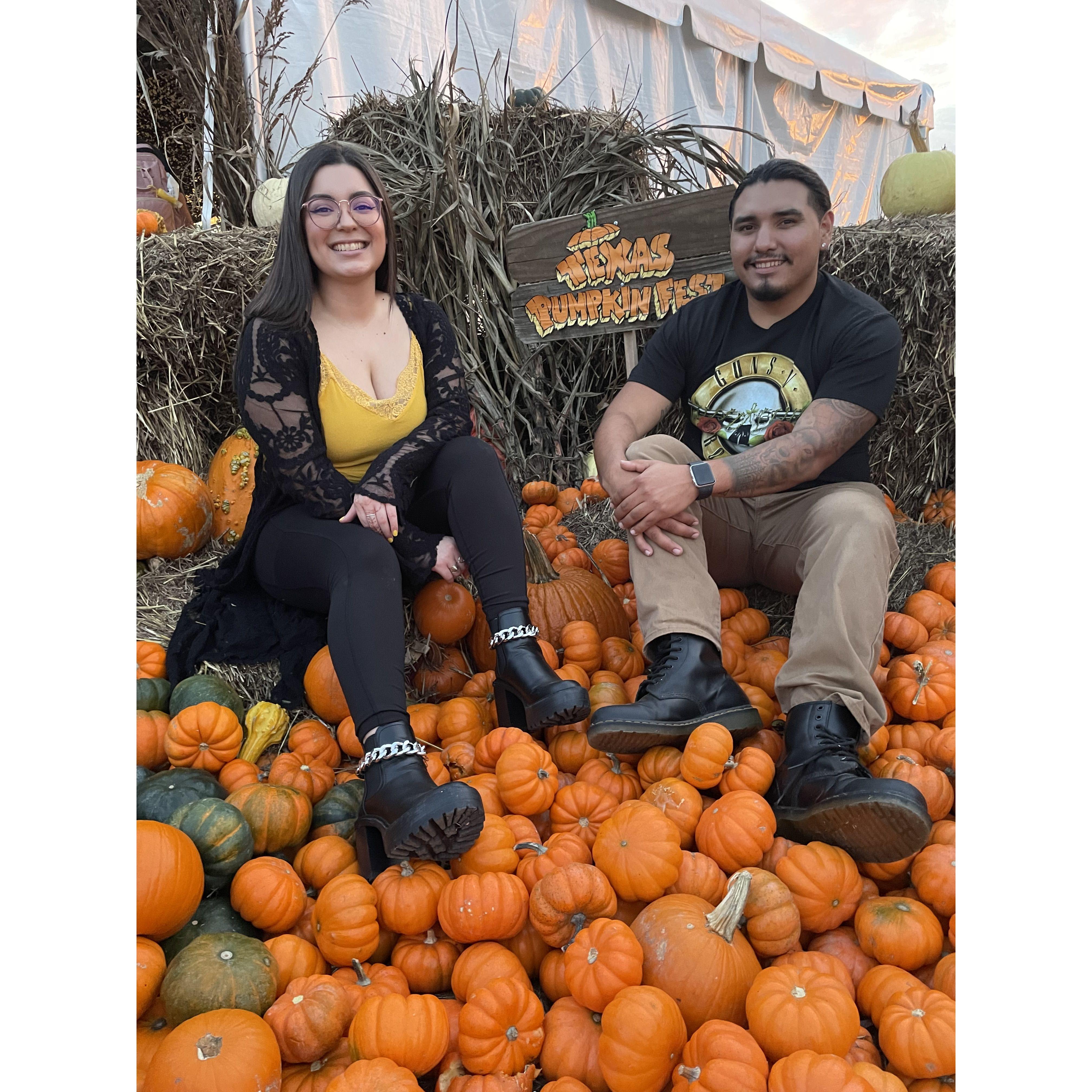 Texas Pumpkin Patch 2021