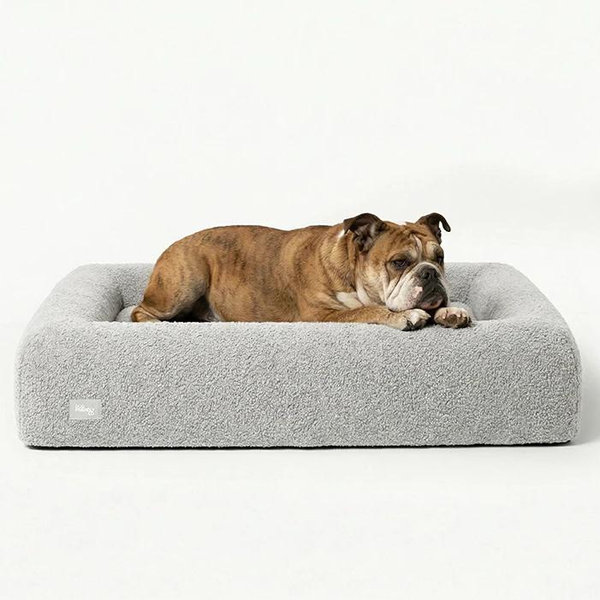 Premium Orthopedic Memory Foam Dog Bed - Grey Bouclé (Large)