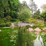 Earl Burns Miller Japanese Garden
