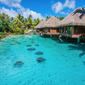 Honeymoon Fund