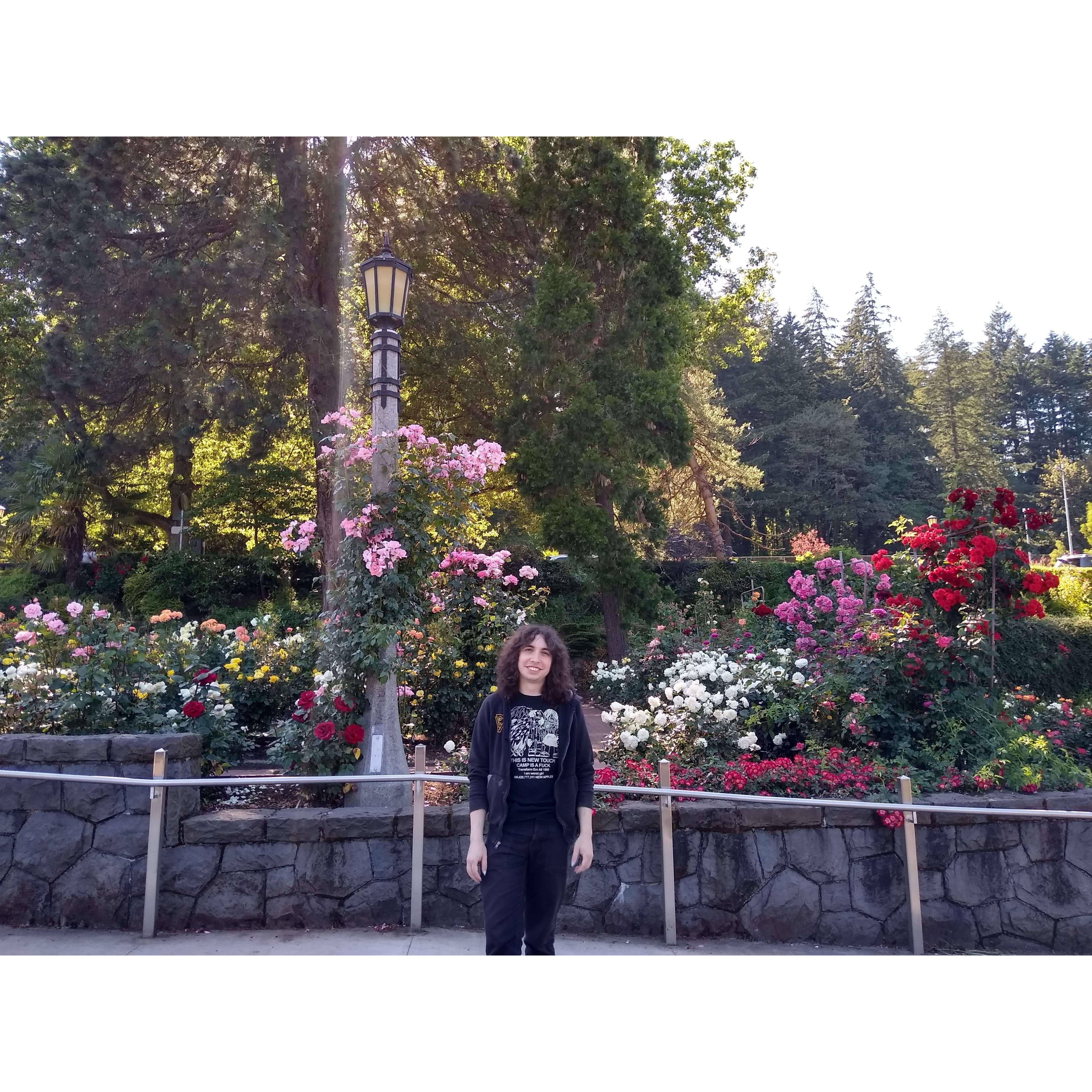 Yara in the Portland Rose Garden