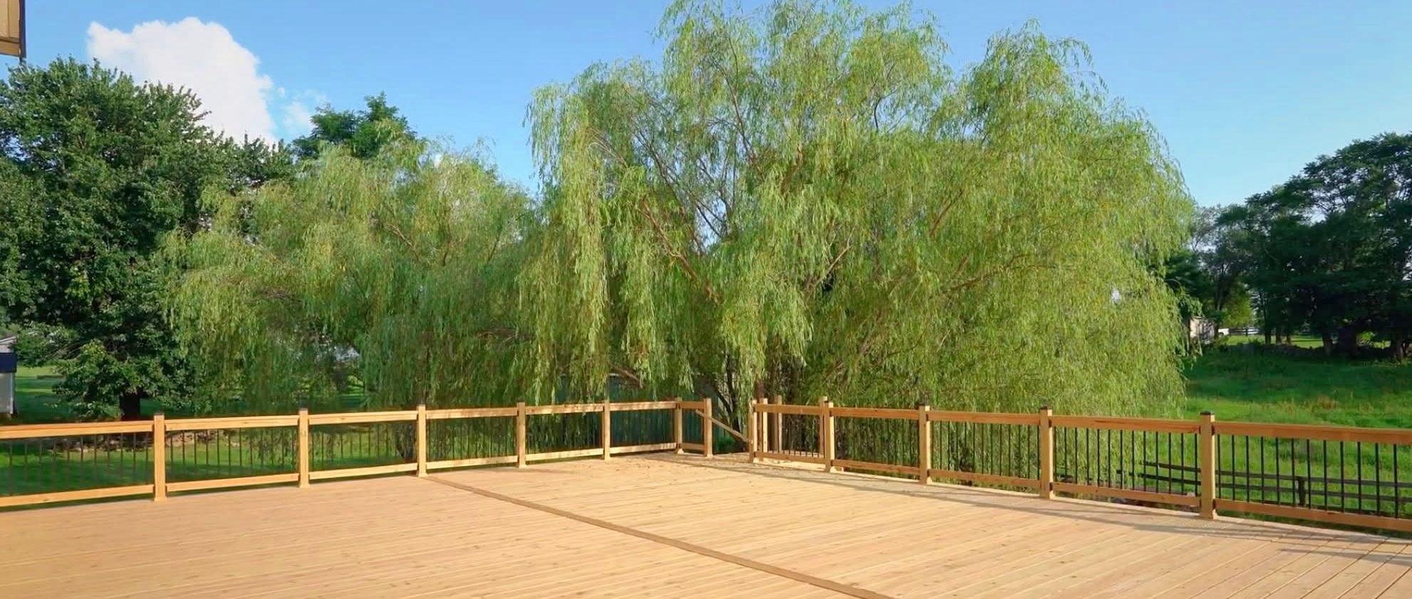 The Wedding Website of Lexie Dorcon and Quinn Zinobile