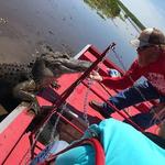 New Orleans Airboat Tours, LLC