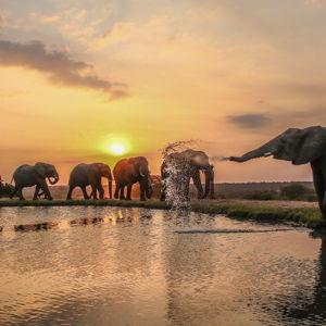 Africa Honeymoon Fund