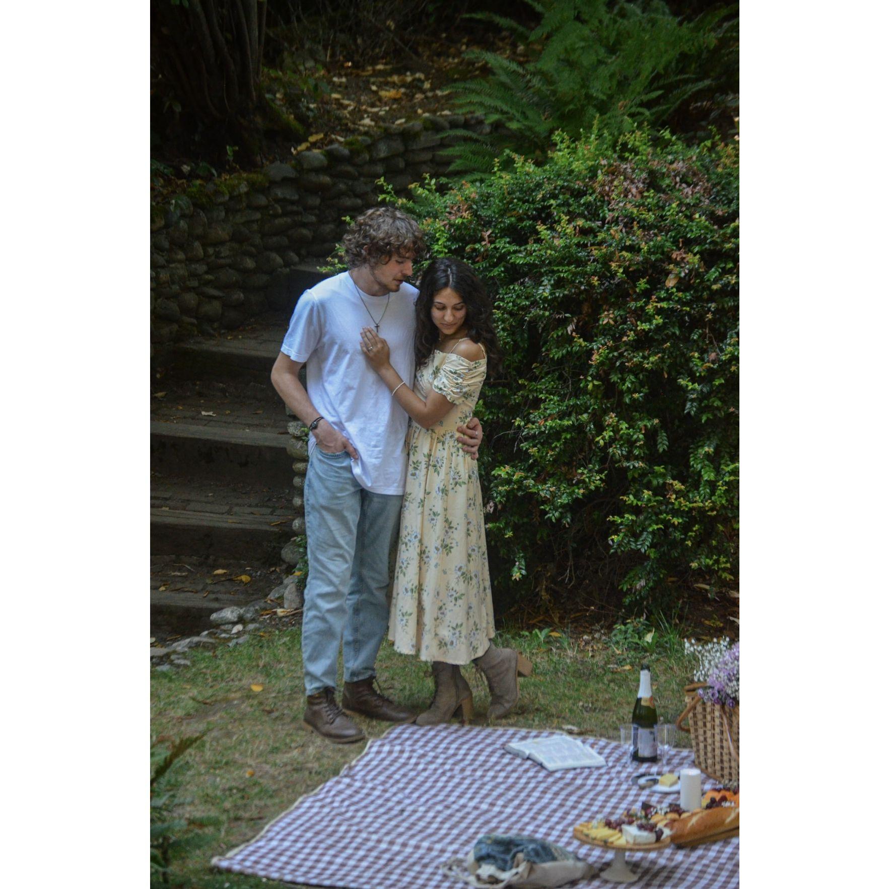 The day Daniel established his reign as the king of surprises! Set up a romantic picnic for us in the forest.