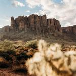 Lost Dutchman State Park