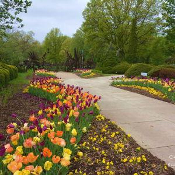 Cleveland Botanical Garden for Two
