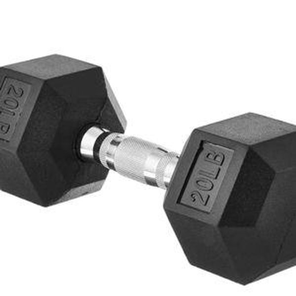 Amazon Basics Rubber Hex Dumbbell 20 LB