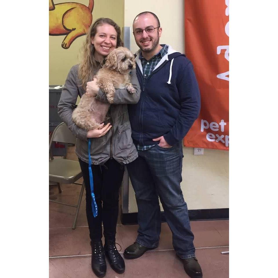 Welcome, Indy! March 2017.