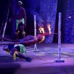 Finest Playa Mujeres Nightly Shows