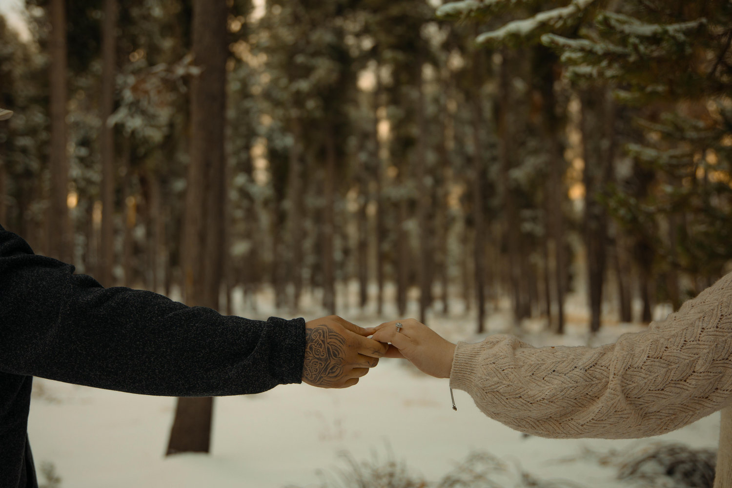 The Wedding Website of Elizabeth Abrams and Trace Ward