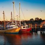 Shem Creek