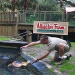 St. Augustine Alligator Farm Zoological Park