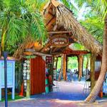Square Grouper Tiki Bar Jupiter Inlet