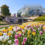 Phipps Conservatory and Botanical Gardens